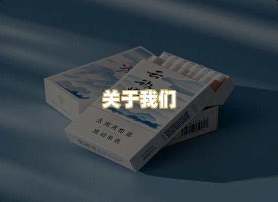 关于我们